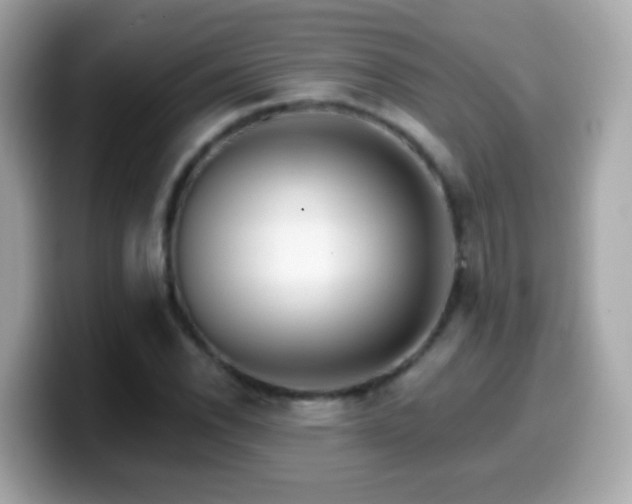 X0000099961118200805231336