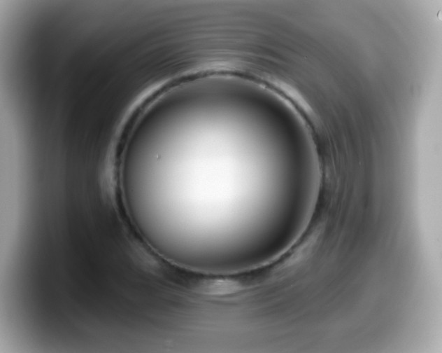 X0000099961119200805231336