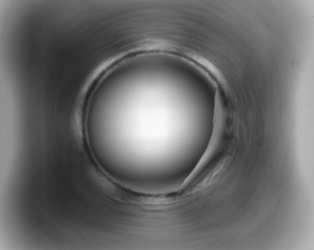 X0000099961120200805231336