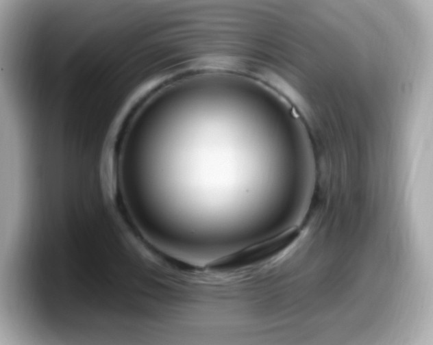X0000099961123200805231336