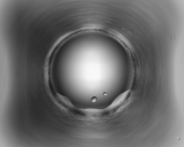 X0000099961124200805231336