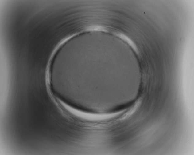 X0000099961125200805231336
