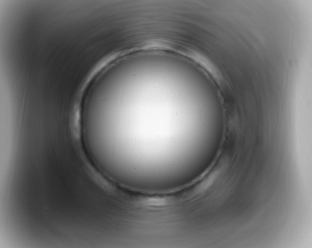 X0000099961126200805231336