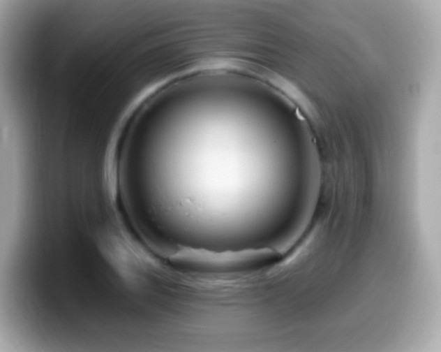 X0000099961127200805231336