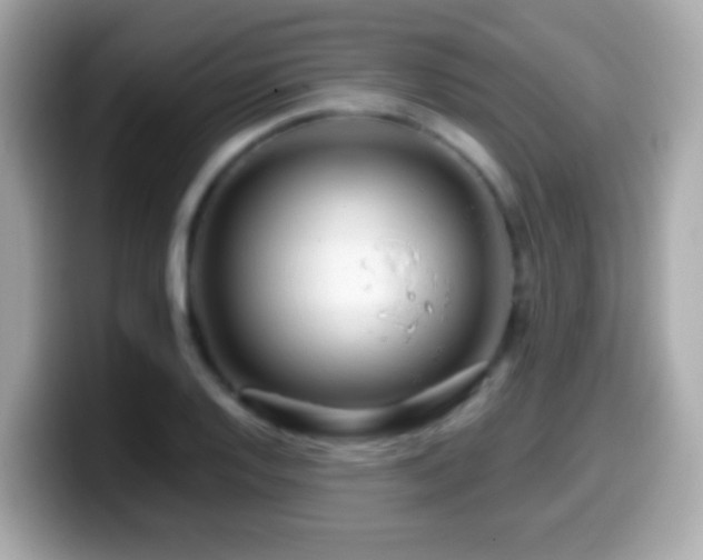 X0000099961128200805231336