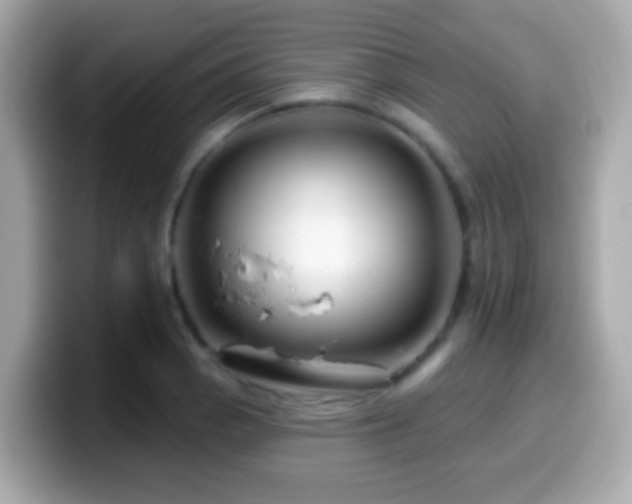 X0000099961129200805231336