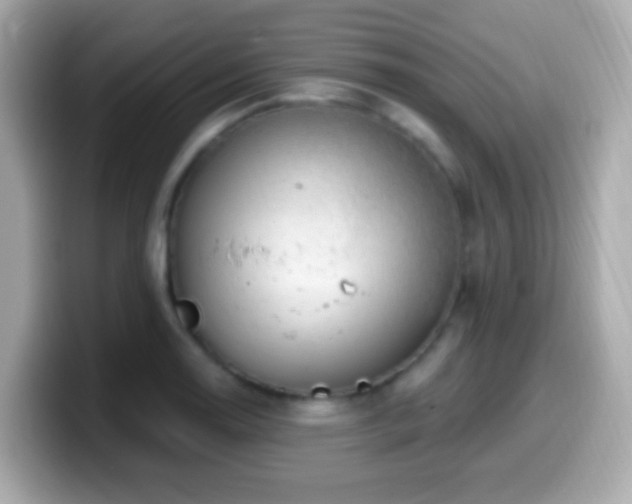 X0000099961130200805231336