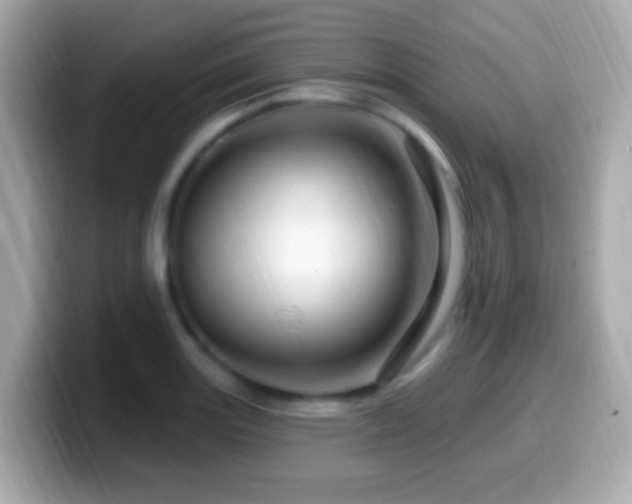 X0000099961131200805231336
