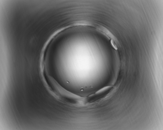 X0000099961132200805231336