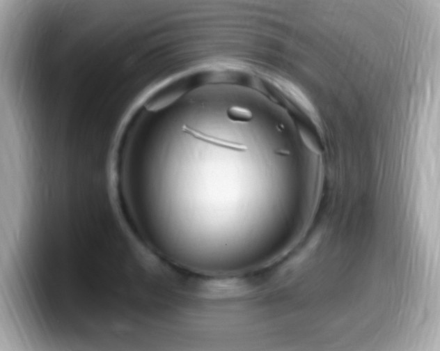 X0000099961133200805231336
