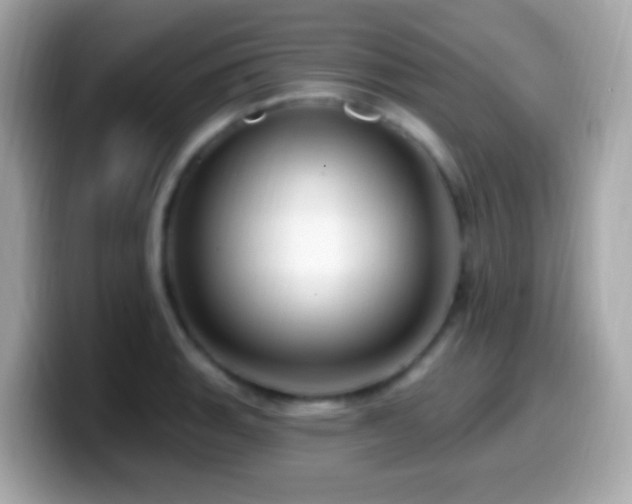 X0000099961135200805231336