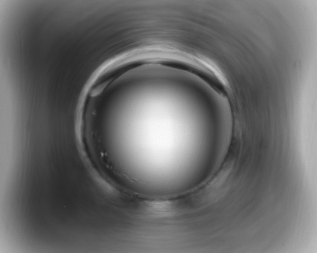 X0000099961136200805231336