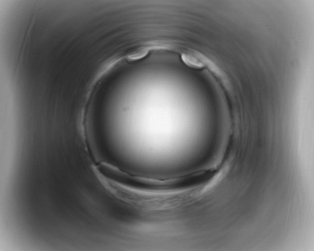 X0000099961137200805231336