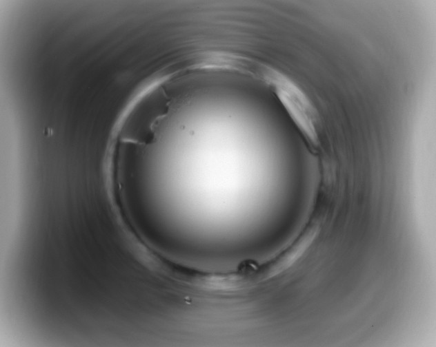 X0000099961138200805231336