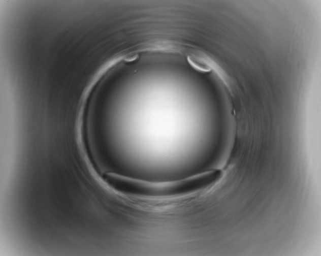 X0000099961139200805231336