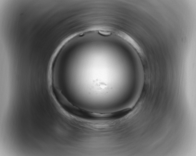 X0000099961140200805231336