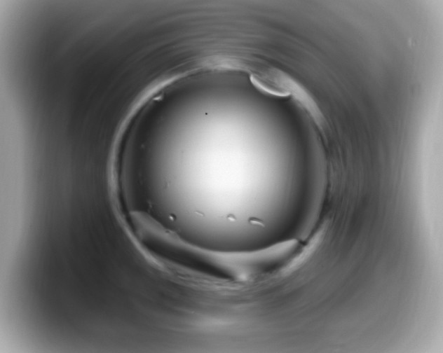 X0000099961141200805231336