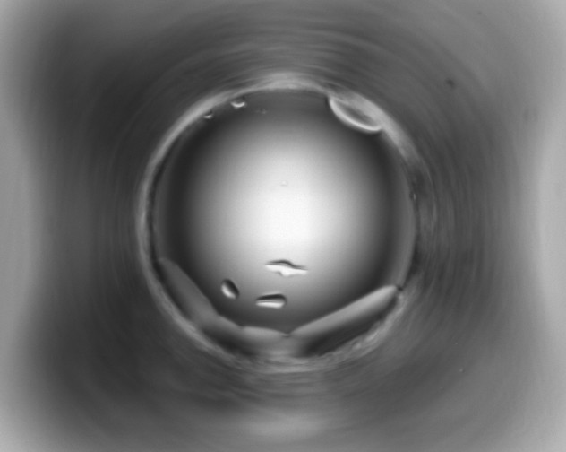 X0000099961142200805231336