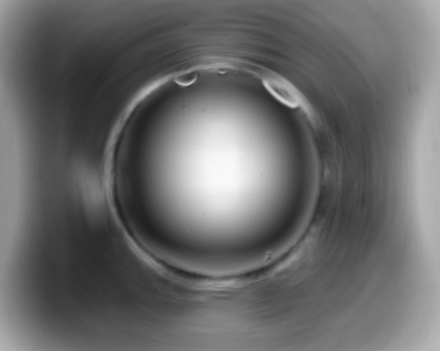 X0000099961143200805231336