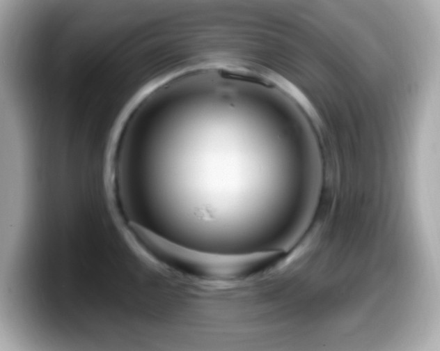 X0000099961144200805231336