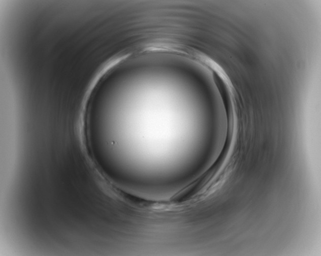 X0000099961146200805231336