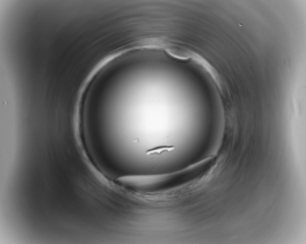 X0000099961147200805231336