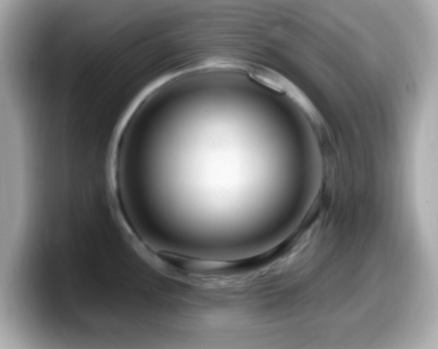 X0000099961148200805231336
