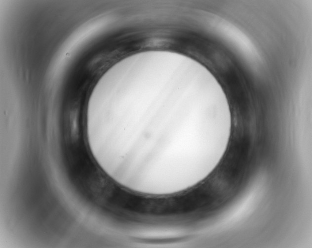 X0000099961150200805231336