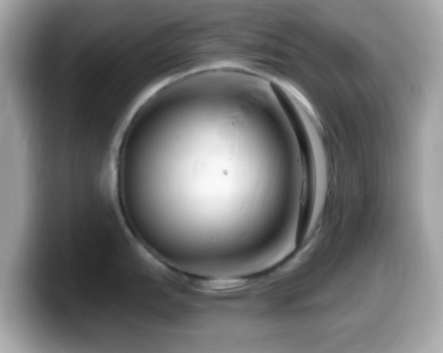X0000099961151200805231336