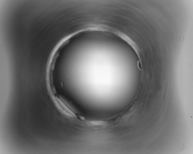 X0000099961152200805231336
