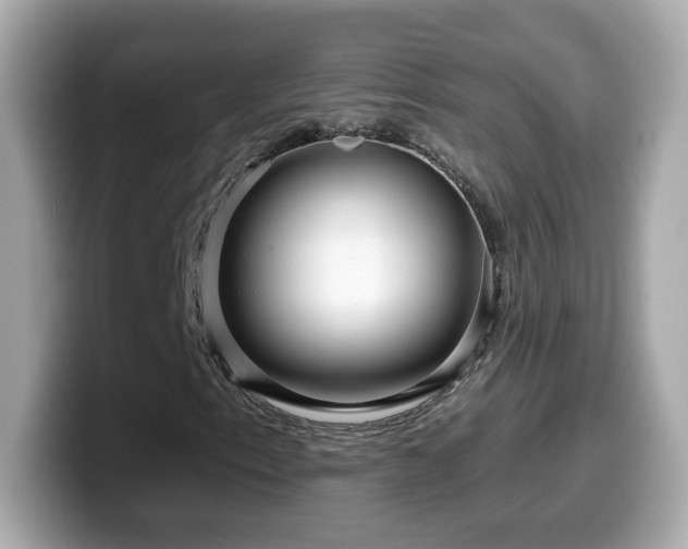 X0000099961153200805231336