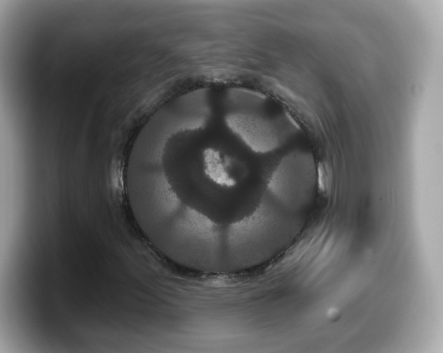 X0000099961155200805231336
