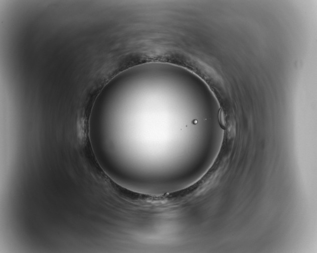 X0000099961156200805231336