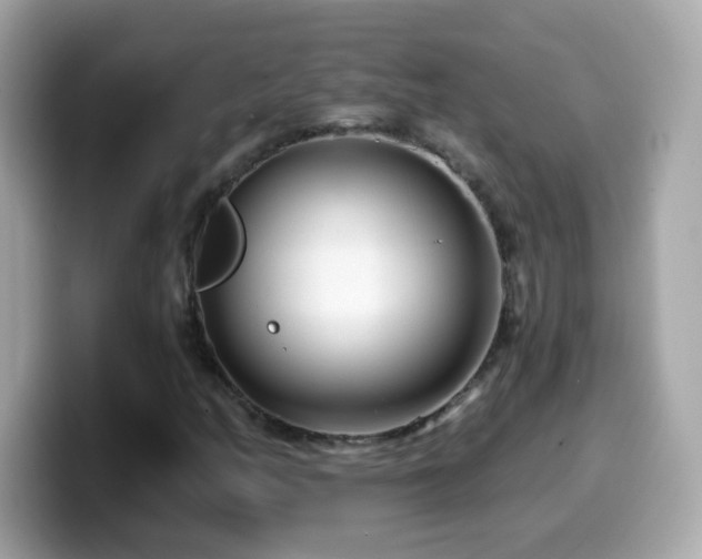 X0000099961158200805231336
