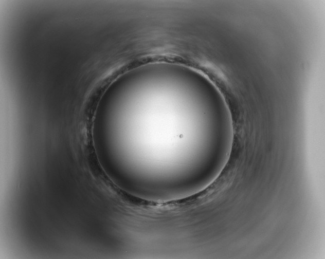 X0000099961159200805231335