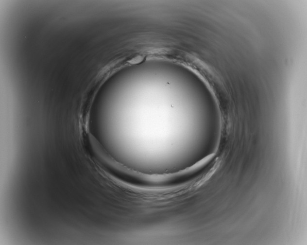 X0000099961161200805231335