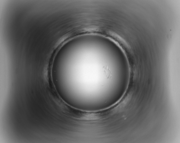X0000099961162200805231335