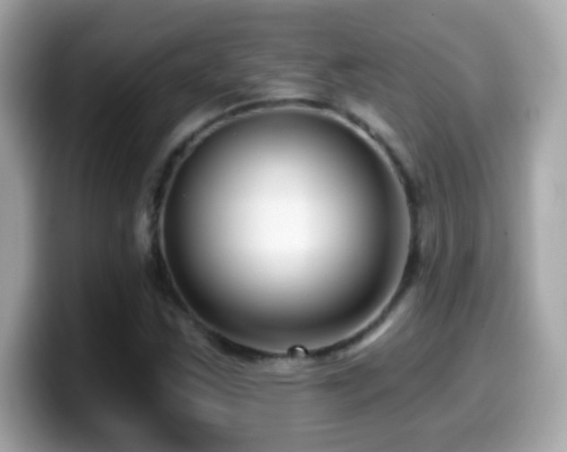 X0000099961163200805231335