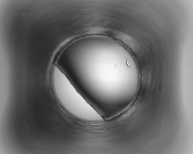 X0000099961164200805231335