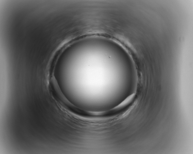 X0000099961165200805231335