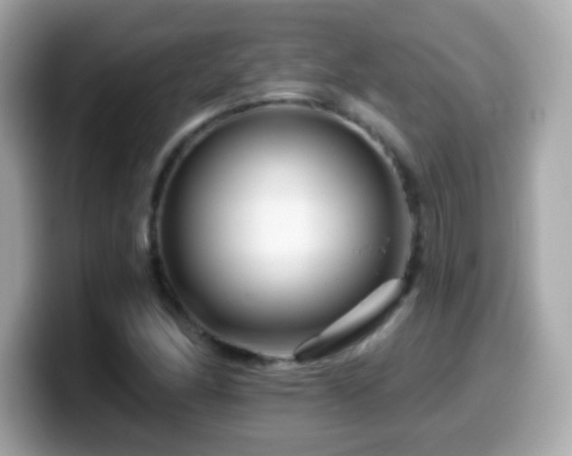 X0000099961166200805231335