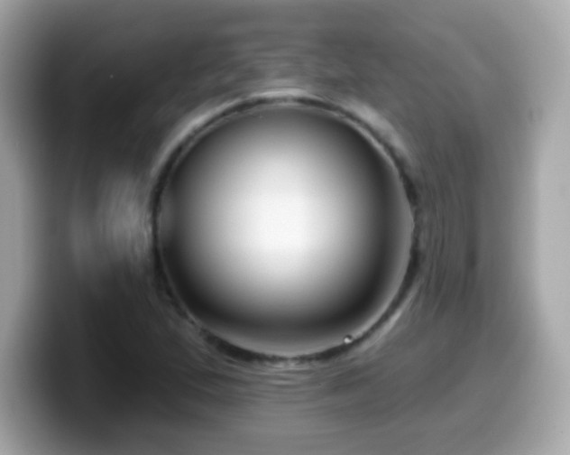 X0000099961167200805231335