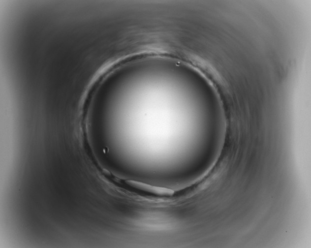 X0000099961168200805231335