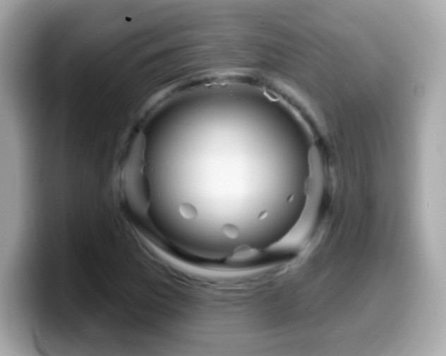 X0000099961169200805231335