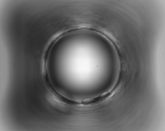X0000099961171200805231335