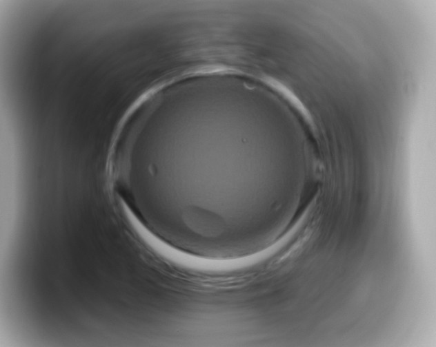 X0000099961173200805231335