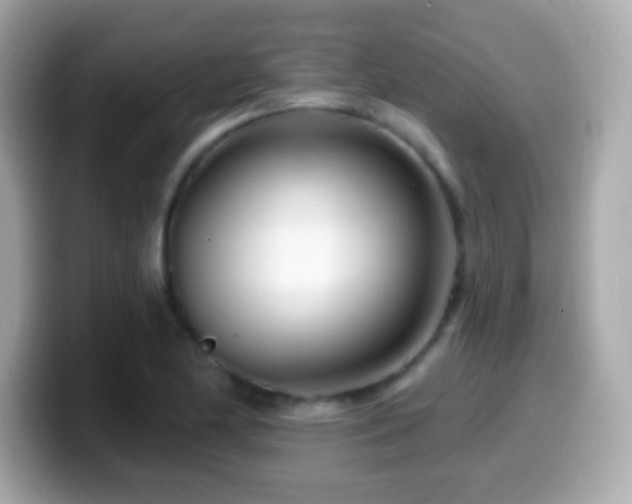 X0000099961174200805231335