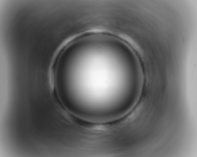 X0000099961175200805231335
