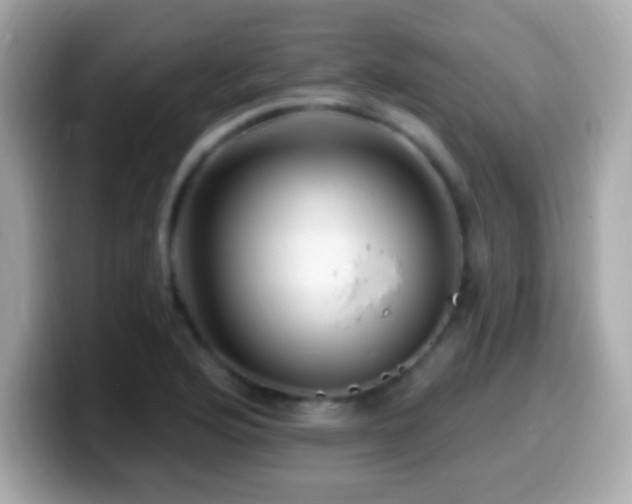 X0000099961176200805231335