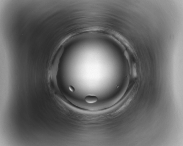 X0000099961177200805231335